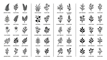 Fototapeta premium Collection of vintage black-and-white botanical herb illustrations featuring leaves and stems in detailed engraving style for design, print, and education.