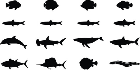 Black silhouettes of marine life including shark, whale, dolphin, tuna, sailfish, eel, and pufferfish isolated on white background © Hanifer