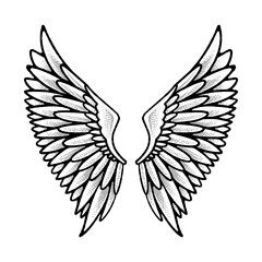 Fototapeta premium Classic Spread Angel Wings with Detailed Feather Texture for Spiritual and Heavenly Design.
