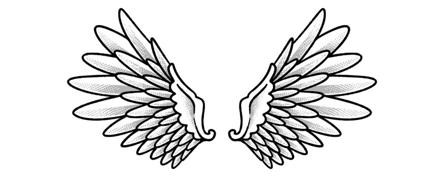 Symmetrical Angel Wings Illustration with Detailed Plumage Representing Peace and Heavenly Spirit.