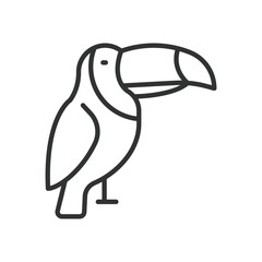 Fototapeta premium Toucan, icon in line design. toucan, bird, tropical, animal, beak, exotic, wildlife on white background vector. toucan editable stroke icon