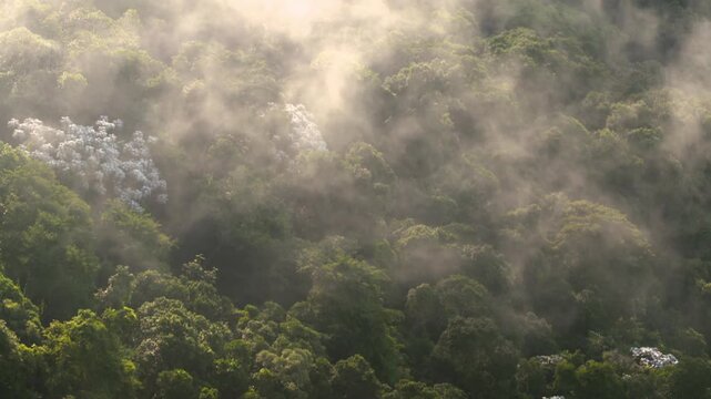 clouds floating over green mountain range
