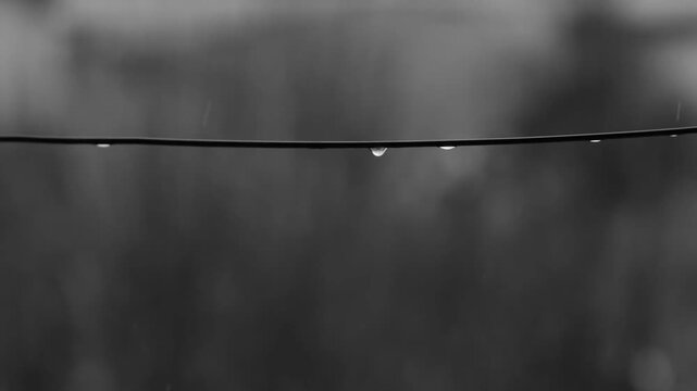 A nature illustration featuring barbed wire with water drops on a black background creates a sharp design where light reflects off a line like a fishing rope under an electric sky