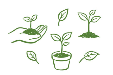 Fototapeta premium Seedling growth elements set outline sketch vector illustration