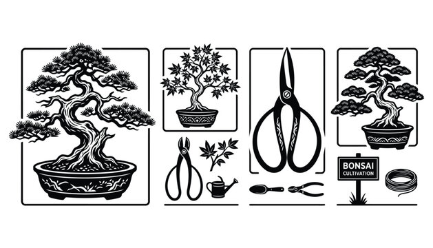 Bonsai tree cultivation and gardening tools vector illustration set
