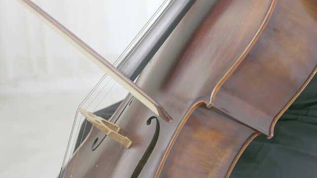 Serene classical music performance from musician cellist passionate play on a cello, bow moves smoothly across strings at wedding, recital or rehearsal highlight artistry dedication musical expression