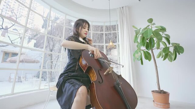 Beautiful young woman musician wearing sleeveless evening gown concentrating on playing large cello with bow moving across strings while performing music with violinists in orchestra on stage