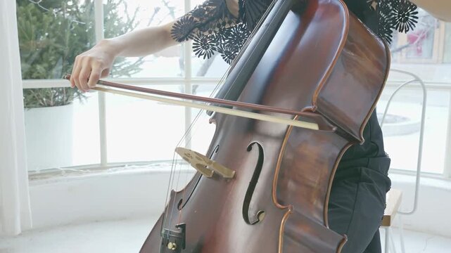 Elegant female musician cellist passionate performance on a cello, creating symphony of sound, woman playing an instrument at a wedding, recital or rehearsal highlighting artistry dedication to music