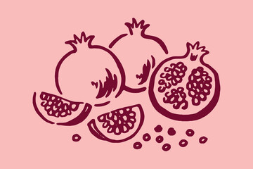 Fototapeta premium Pomegranate elements set outline sketch vector illustration