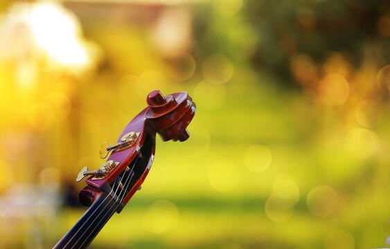 close up of an old violin