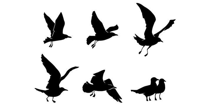 Variations in the motion of a flapping bird shown as silhouettes