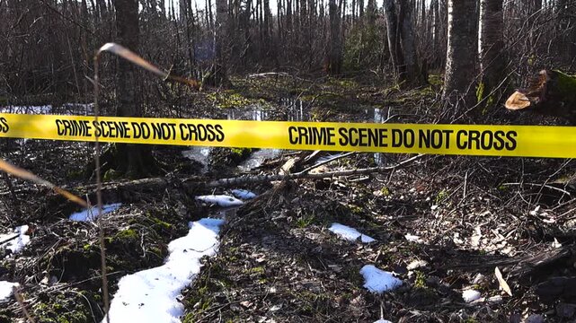 Backlit crime scene tape flutters above a muddy spring forest with melting snow puddles and forensic atmosphere.