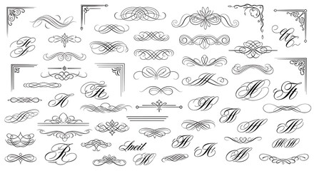 Fototapeta premium Elegant Decorative Design Elements Collection for Creative Projects.