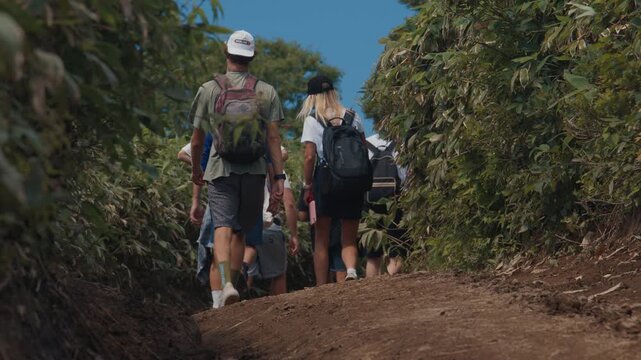 Big mixed group of hikers walk on the path in the wild area
