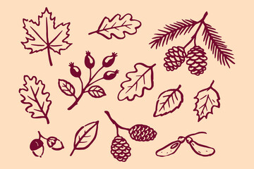 Obraz premium Autumn forest elements set outline sketch vector illustration