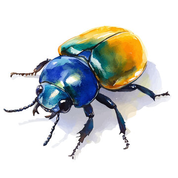 watercolor of Dung Beetle, vector, isolated on a white background.