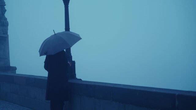 pont charles dans le brouillard le matin &agrave; Prague
