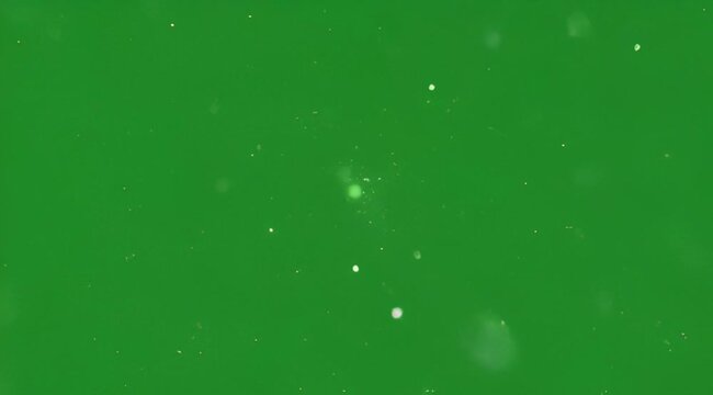 Floating white dust particles and bokeh on green screen background for VFX compositing, atmospheric light specks and snow effect.