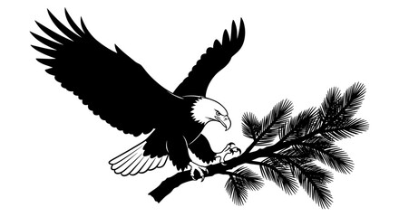 Obraz premium Bald Eagle on Pine Branch 1.