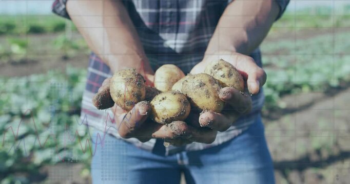 Farmer reaching forward on farm presenting potatoes showing quality while animated tag showing soil
