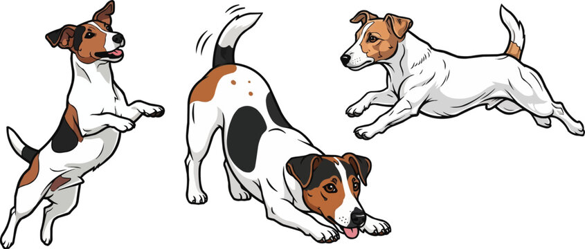 Jack Russell Terrier dog happy play bow jumping running pose set