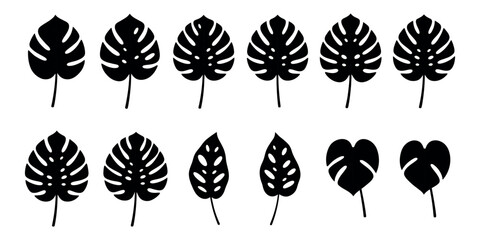 Set of diverse black monstera deliciosa leaf silhouettes on a white background, perfect for tropical and minimalist designs. © Lili