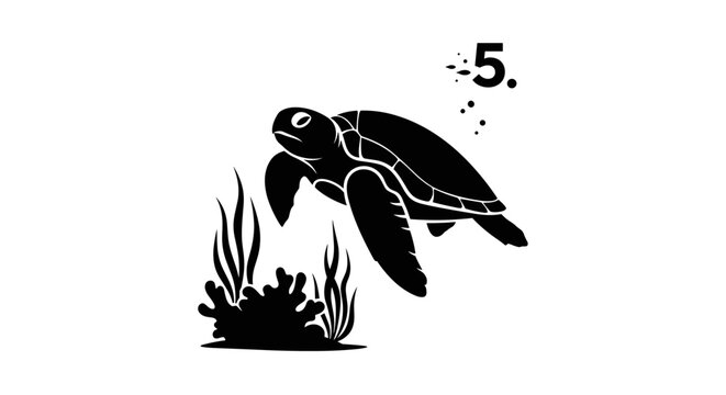 Black Sea Turtle Swimming Underwater.