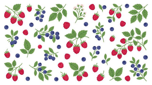 Seamless pattern of fresh raspberries and blueberries with green leaves on white background