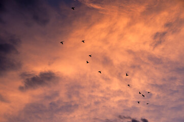 Obraz premium Abstract sunset and sunrise with clouds, Background.