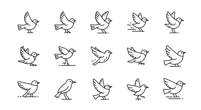Set of Minimalist Bird Icons in Various Poses