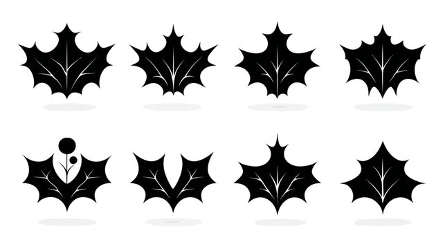 Set of Black Stylized Holly Leaf Icons and Graphic Elements. Abstract Vector Foliage Symbols Collection for Winter Design