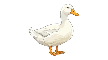 Pekin duck on white background © Mimo95