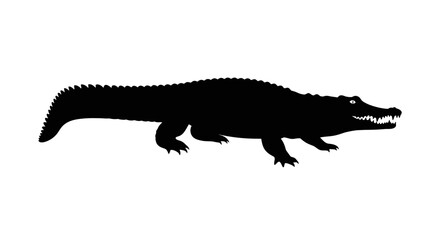 Fototapeta premium Black silhouette of crocodile.