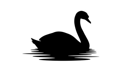 Fototapeta premium Black Swan Silhouette on Water 3.