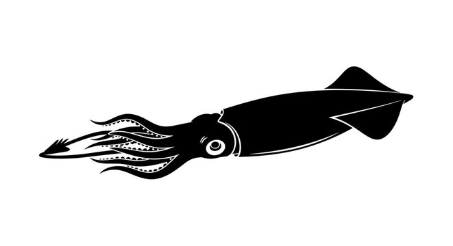 Black Squid Side View Illustration.