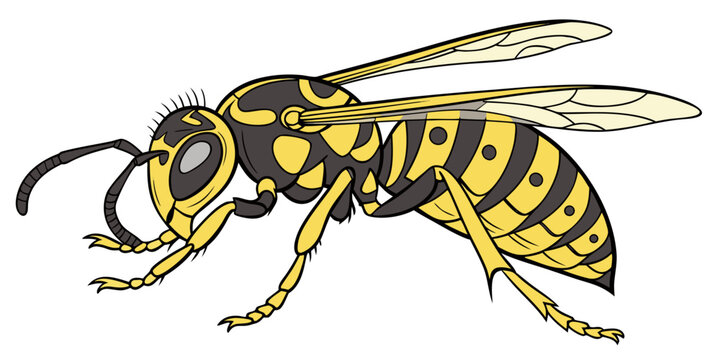 "A professional, ultra-high-resolution 3D photorealistic render of a yellowjacket wasp, isolated on a solid white background. The insect is shown in a side profile, featuring intricate anatomical deta