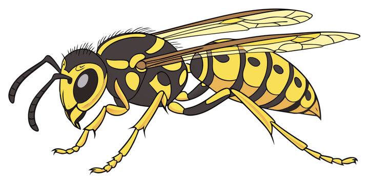 "A professional, ultra-high-resolution 3D photorealistic render of a yellowjacket wasp, isolated on a solid white background. The insect is shown in a side profile, featuring intricate anatomical deta