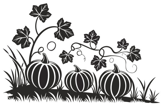 Pumpkin Patch Silhouette Vector Autumn Harvest Garden Pumpkins Icon