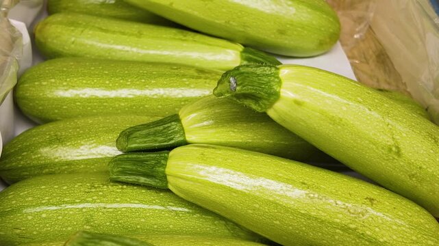 Raw fresh pale green zucchini, natural background
