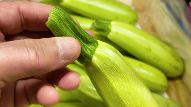A customer chooses in a supermarket raw pale green zucchini