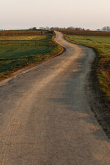 Droga wśród pól z samochodem na horyzoncie – koncepcja podróży i celu © Elżbieta Kaps