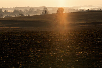 Wschód słońca nad krajobrazem – złote światło i spokojny poranek w naturze © Elżbieta Kaps