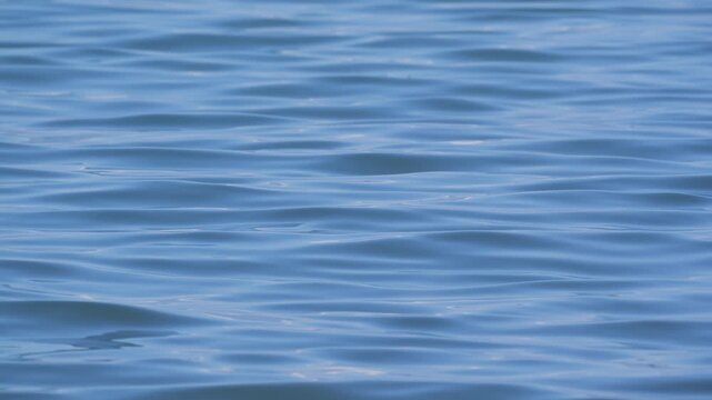 Close-up view of Blue, fluid, sinuous and calm waves of a lake in slow motion. Natural background