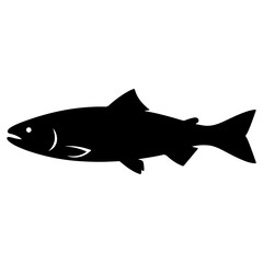 Fototapeta premium shark vector illustration