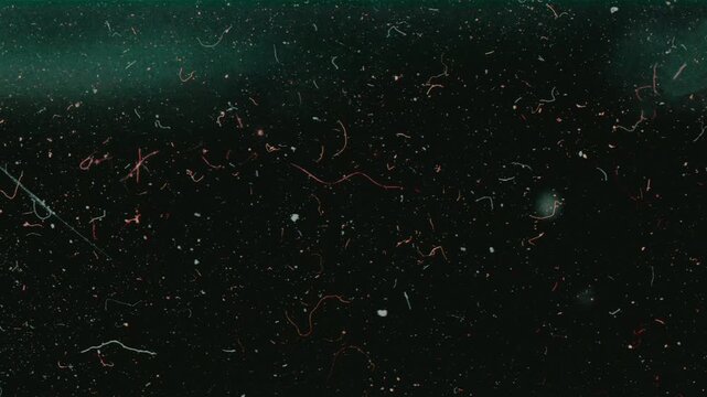 Teal Dust Texture with Light Leak and Film Grain, Cinematic Abstract Overlay Background for Video Editing, Vintage Visual Effects and Motion Graphics