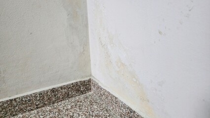 damp wall corner with mold stains and peeling paint, moisture damage in apartment interior, problem of humidity, leakage and poor ventilation conditions © Татьяна Швец