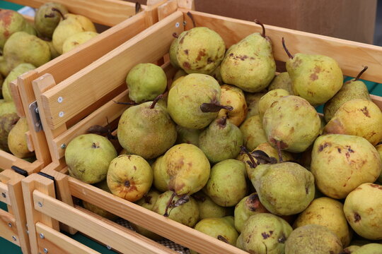 box of pears 