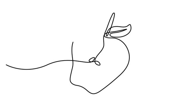 Animated self drawing of continuous one line draw fresh apple fruit. Fresh summer fruitage concept for fruit garden icon. Healthy food concept animation. 4k video