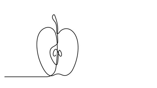 Animated self drawing of continuous one line draw fresh apple fruit. Fresh summer fruitage concept for fruit garden icon. Healthy food concept animation. 4k video