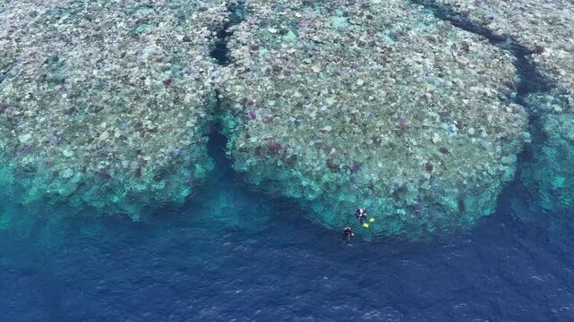 Snorkelers explore the edge of a coral reef drop-off in Fiji.  This South Pacific island group harbors high marine biodiversity and is a popular vacation destination for divers and snorkelers.